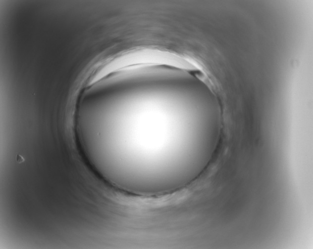 X0000088720007200706212029