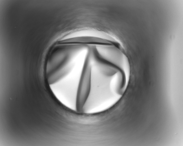 X0000088720008200706212029