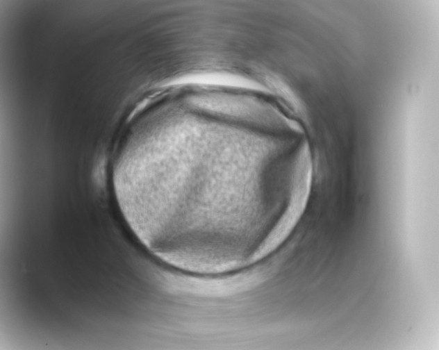 X0000088720010200706212029