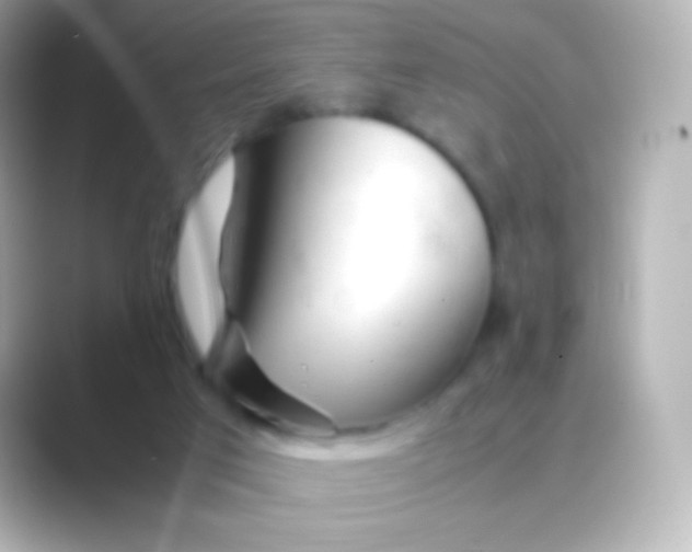 X0000088720017200706212029