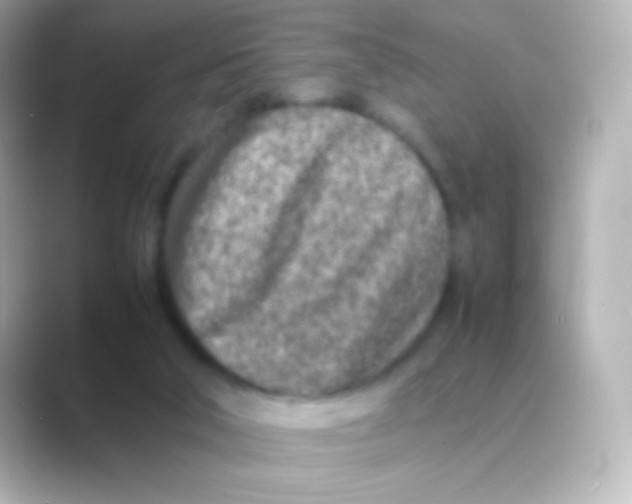 X0000088720018200706212029