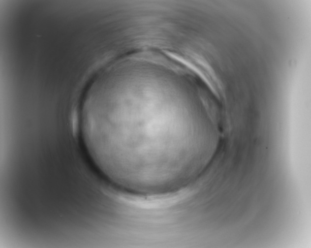 X0000088720019200706212029