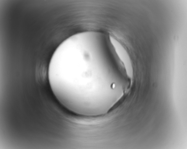 X0000088720021200706212029