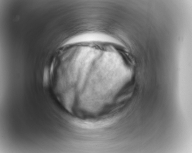 X0000088720022200706212029