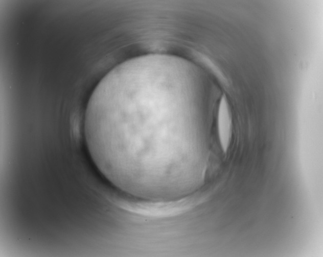 X0000088720023200706212029