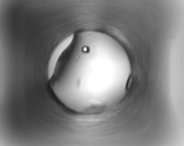 X0000088720025200706212029