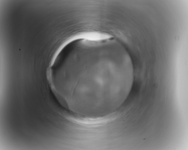 X0000088720027200706212028