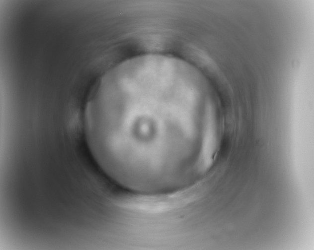 X0000088720029200706212028