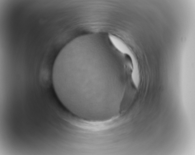 X0000088720031200706212028