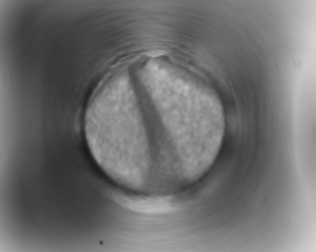 X0000088720032200706212028