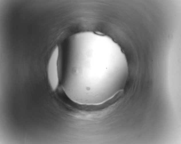 X0000088720033200706212028