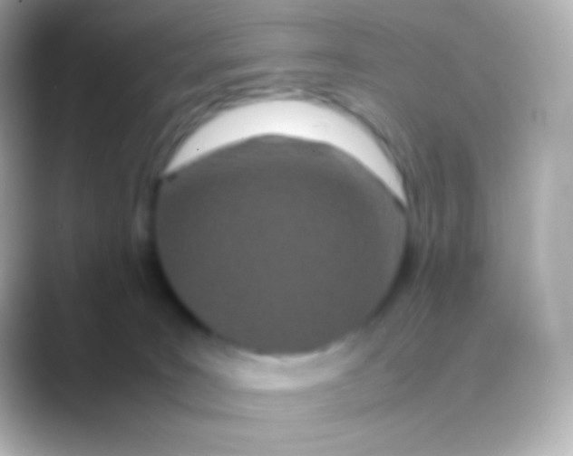 X0000088720035200706212028