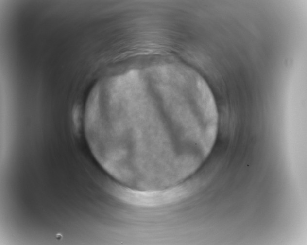 X0000088720038200706212028