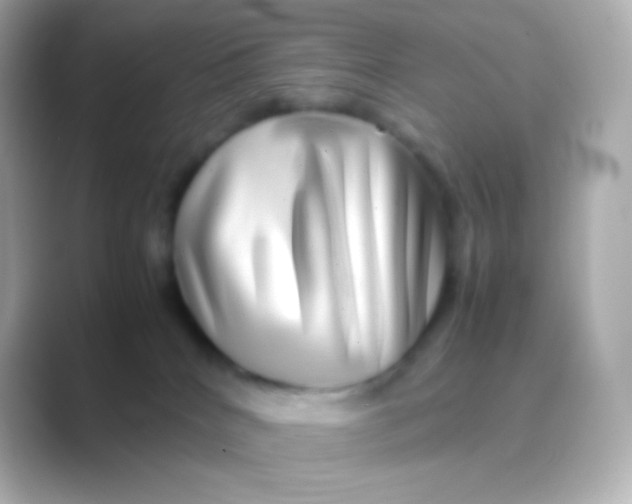 X0000088720040200706212028