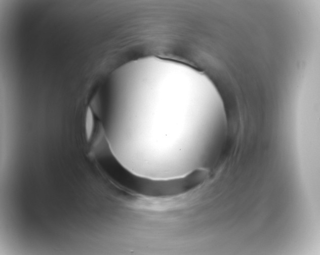 X0000088720041200706212028