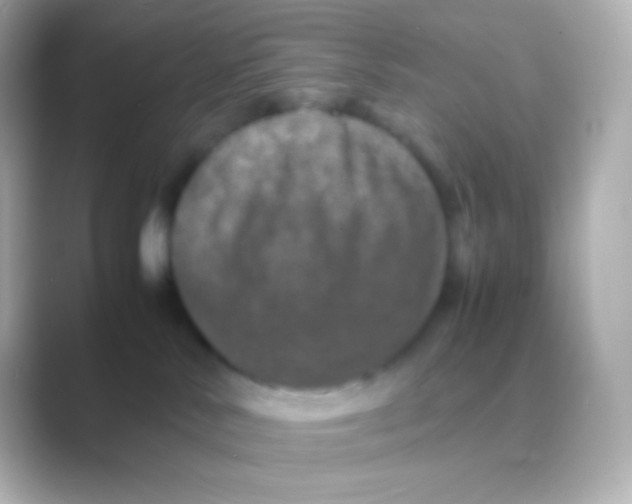 X0000088720042200706212028