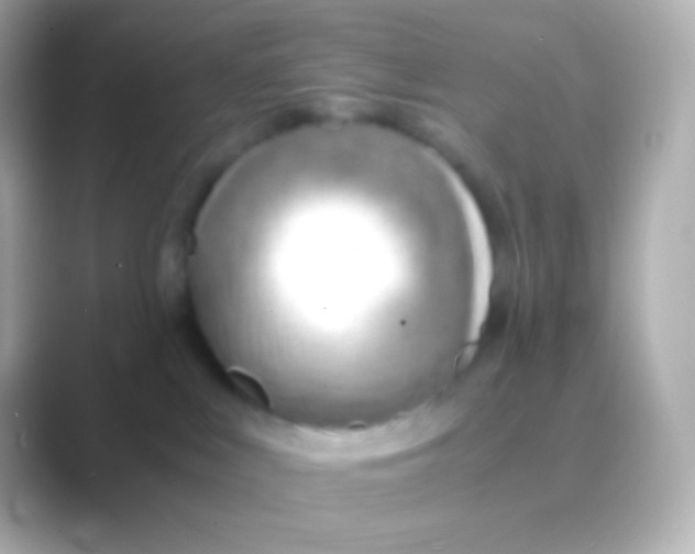 X0000088720043200706212028