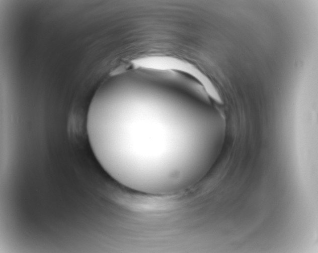 X0000088720044200706212028