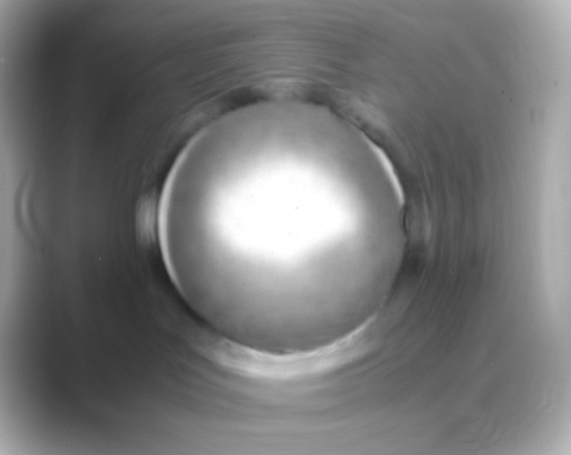 X0000088720047200706212028