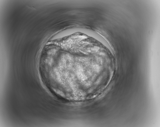 X0000088720049200706212028