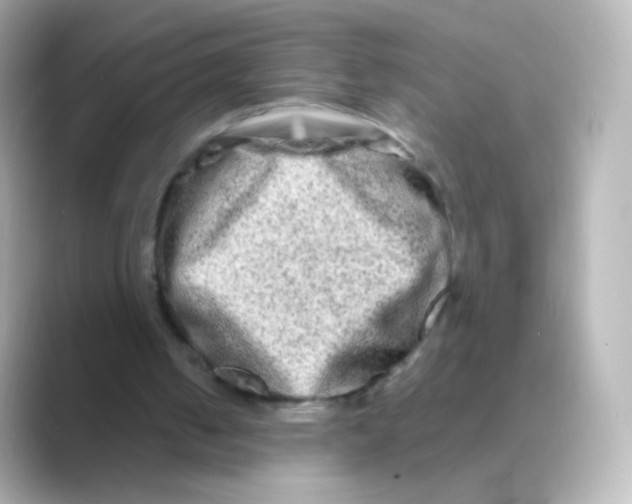 X0000088720050200706212028