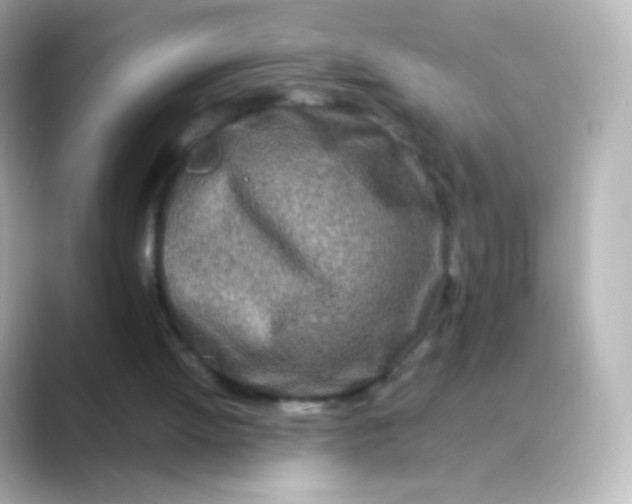 X0000088720052200706212028