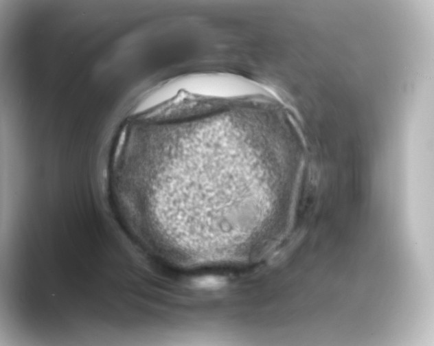 X0000088720053200706212028