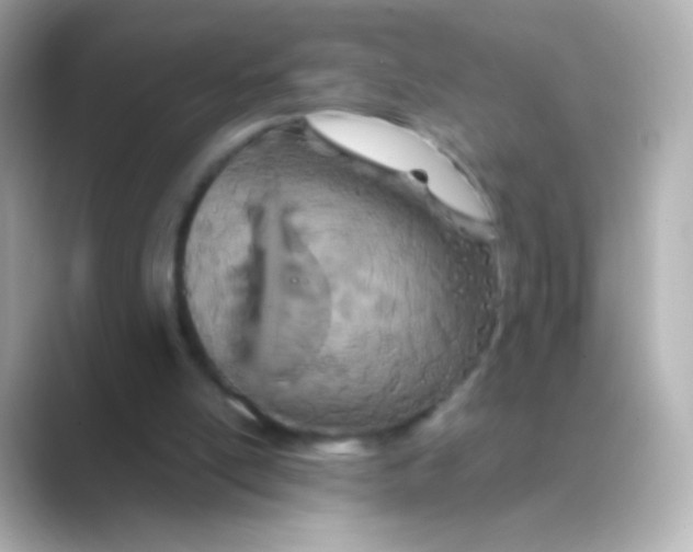 X0000088720054200706212028