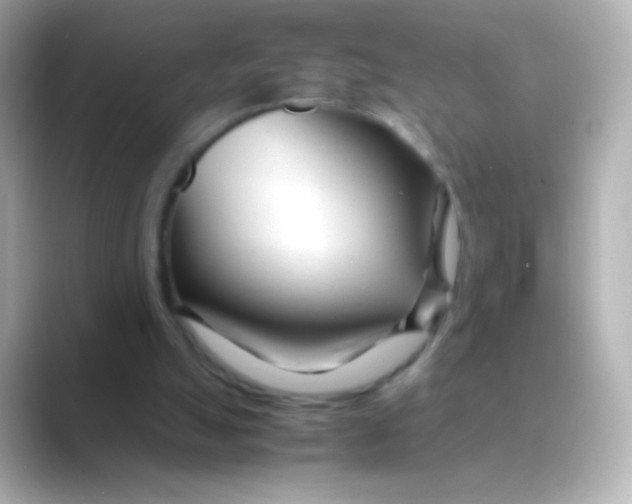 X0000088720055200706212028