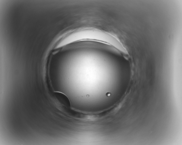 X0000088720056200706212028