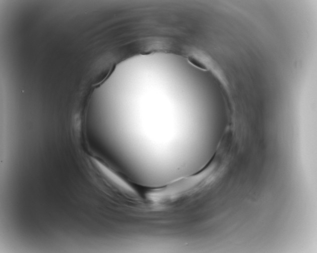 X0000088720057200706212028