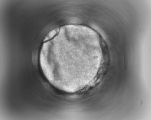 X0000088720058200706212028