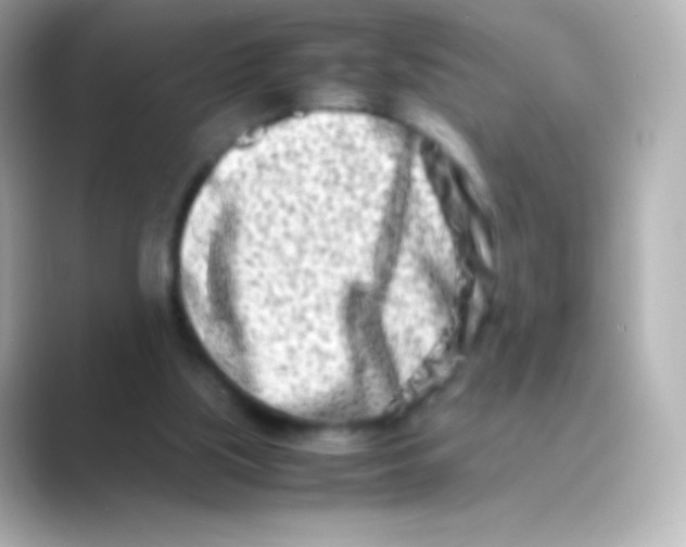 X0000088720059200706212028