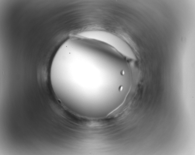 X0000088720060200706212028