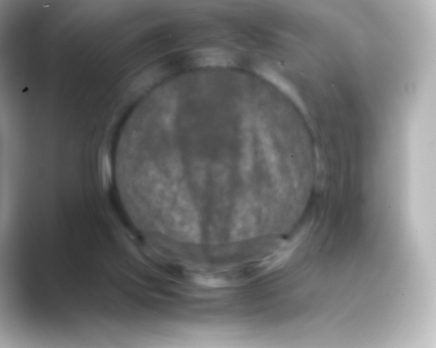 X0000088720061200706212028