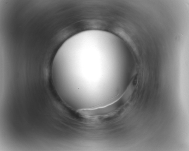 X0000088720063200706212028