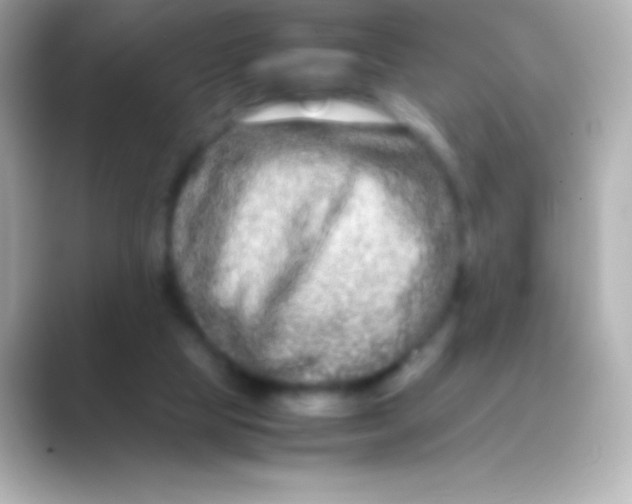 X0000088720065200706212028