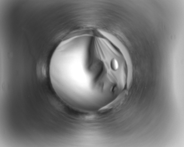 X0000088720068200706212028