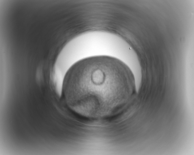 X0000088720072200706212028