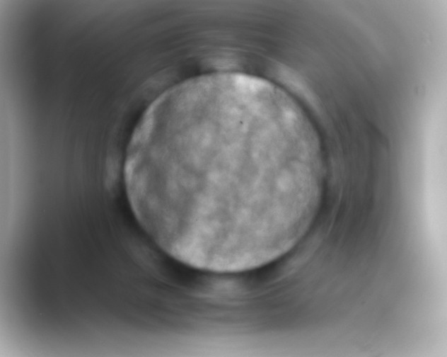 X0000088720073200706212028