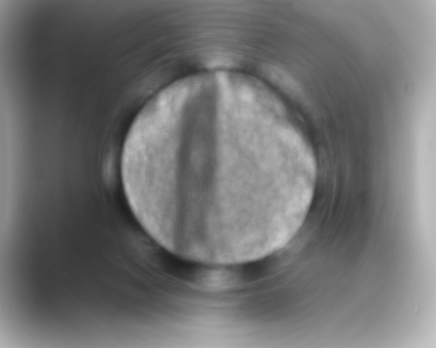 X0000088720074200706212028