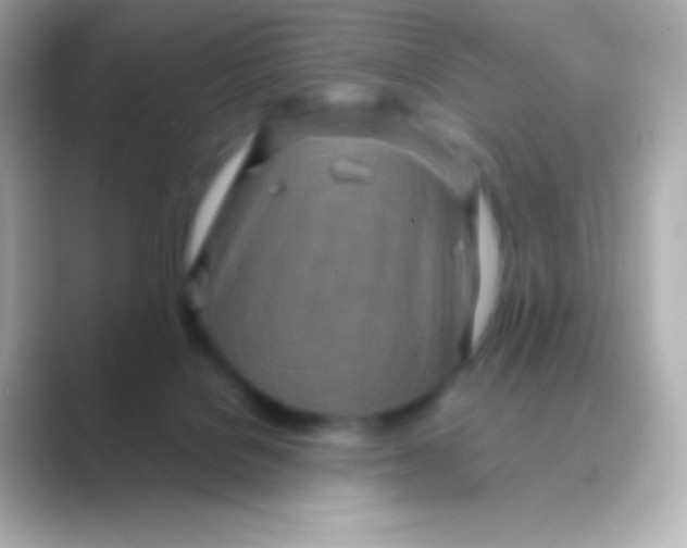 X0000088720076200706212028