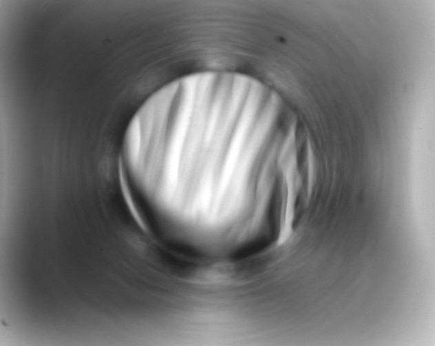 X0000088720078200706212028