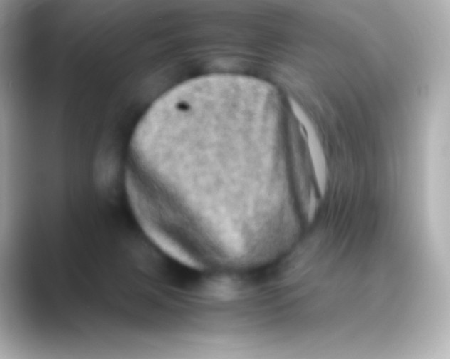 X0000088720079200706212028