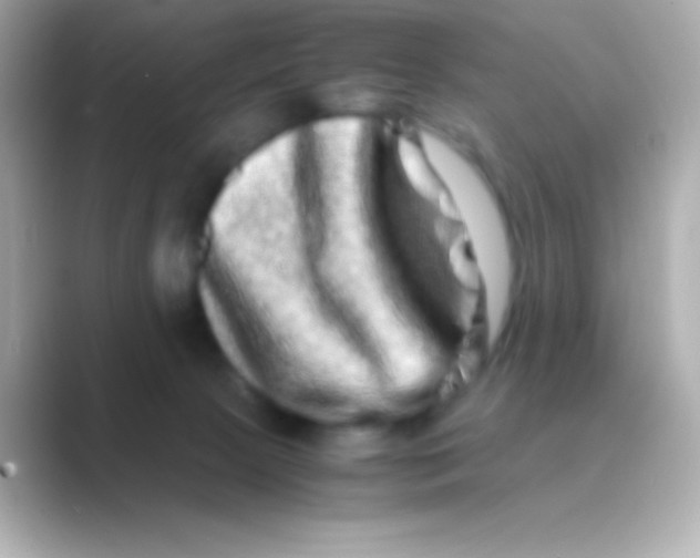 X0000088720081200706212028