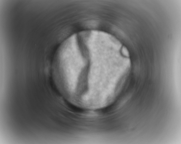 X0000088720083200706212028