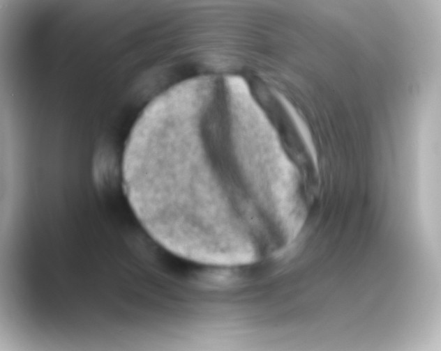 X0000088720086200706212028