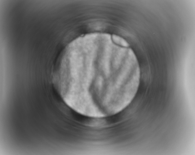 X0000088720087200706212028