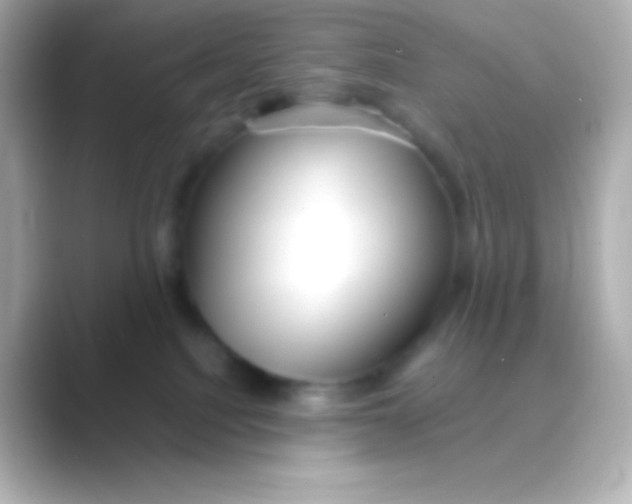 X0000088720088200706212028