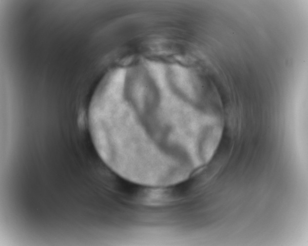 X0000088720089200706212028